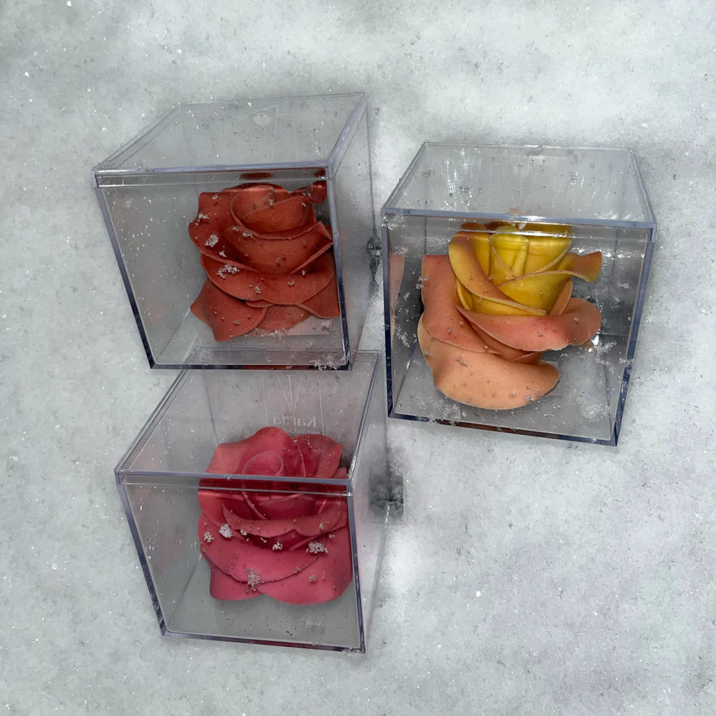 Roses Colorées au Chocolat Blanc Artisanal